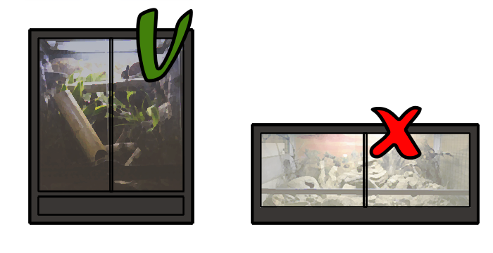 terrarium arboricole et terrarium terrestre