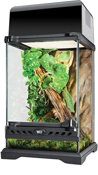 exo terrarium arboricole petit