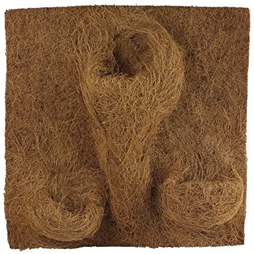 fond terrarium fibre de coco