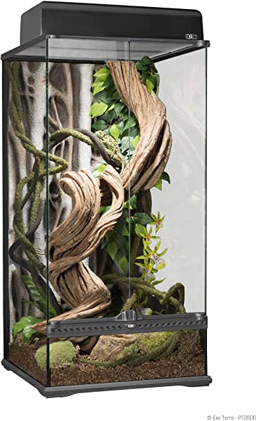 grand terrarium arboricole, exo terra